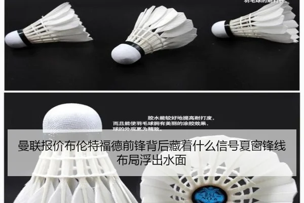 曼联报价布伦特福德前锋背后藏着什么信号夏窗锋线布局浮出水面